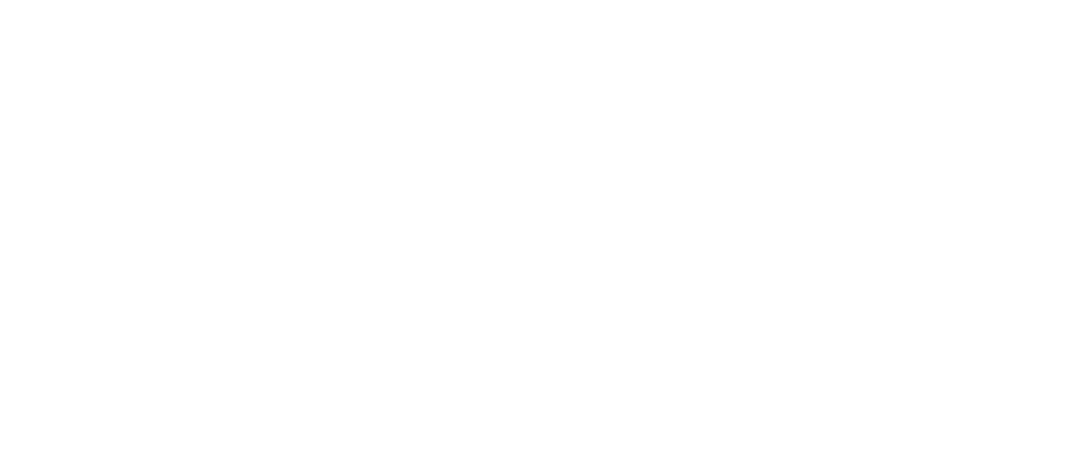 Stella Primary Logo Final - On-Site Wedding Hairstylist New York -